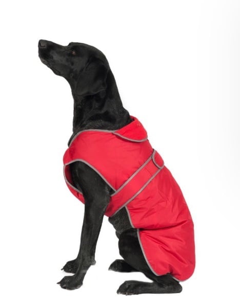 🐶  Ancol Dog waterproof jacket Large 🐶 