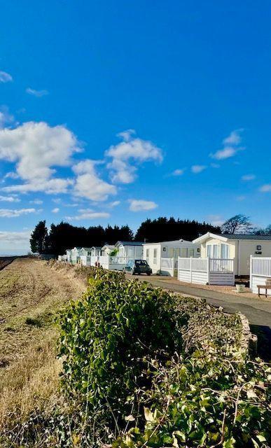Willerby Dorchester in Angus  - Lodge / Caravan 
