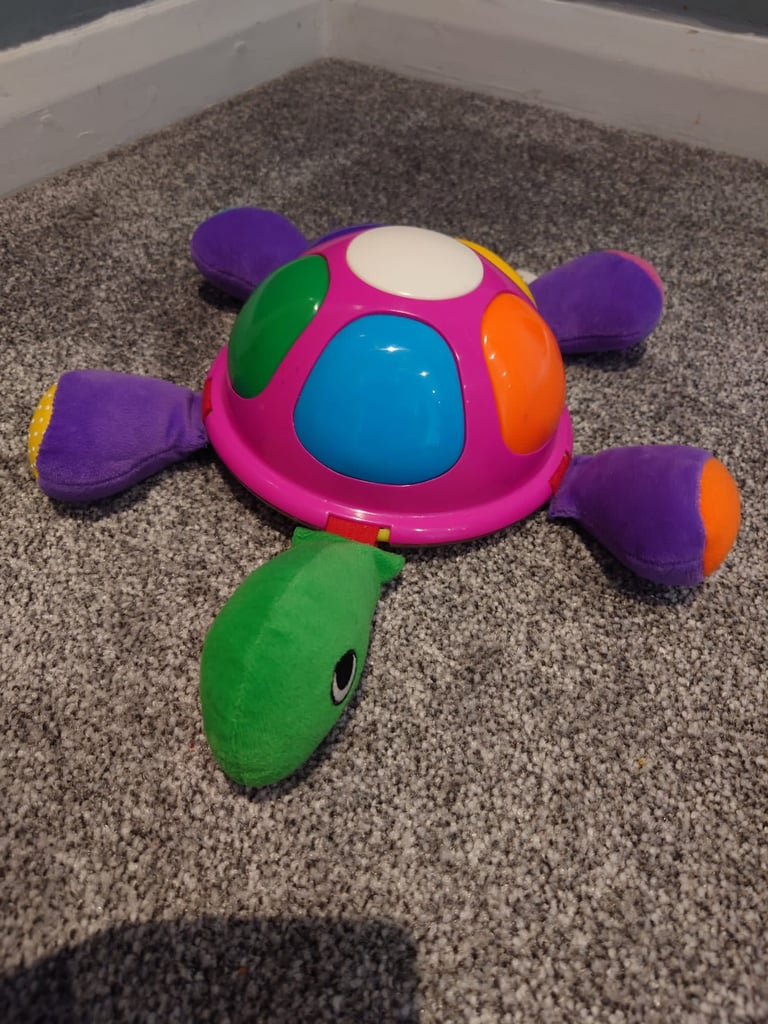 Toy turtle