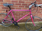 Retro Raleigh apex project 