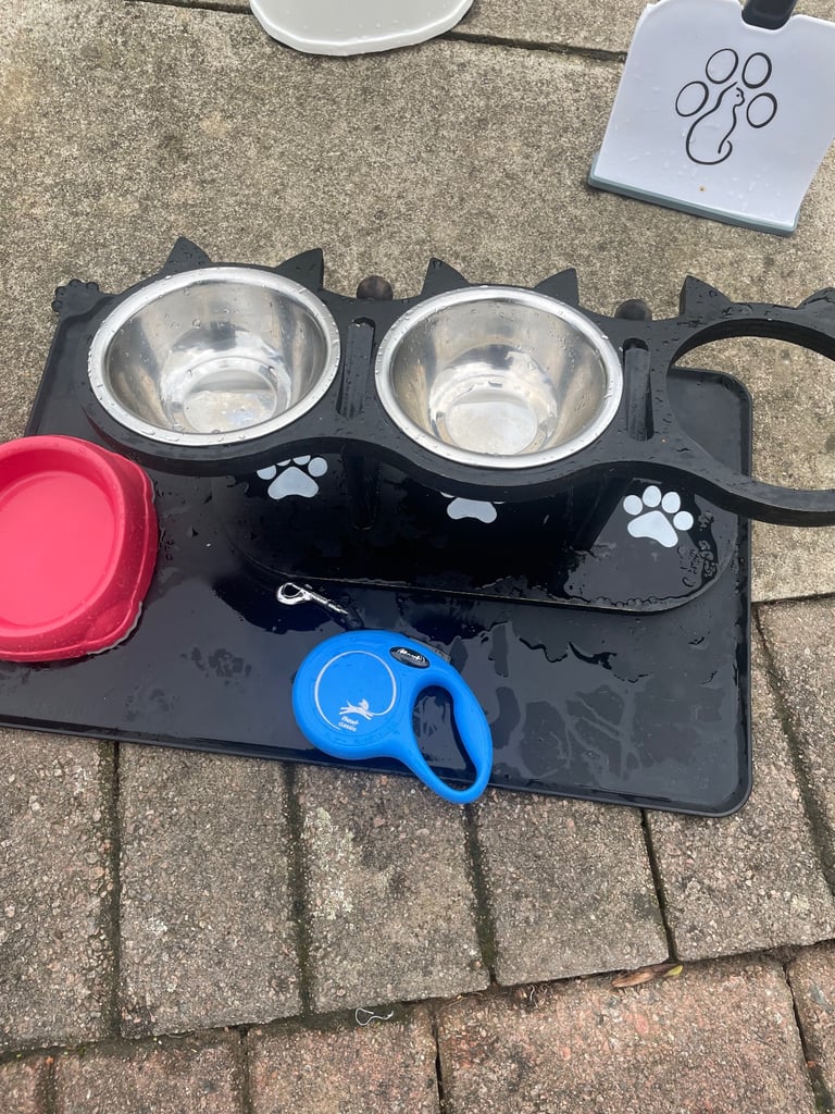 big batch of cat supplies 