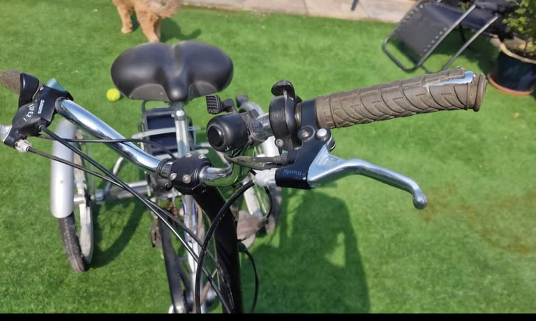 Folding Adult Trike