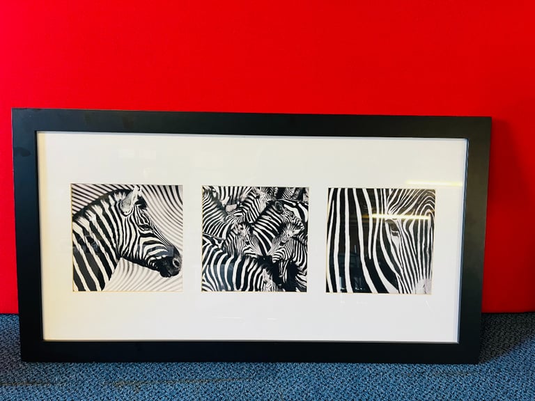 ZEBRA BLACK & WHITE FRAMED LARGE PRINT PICTURE