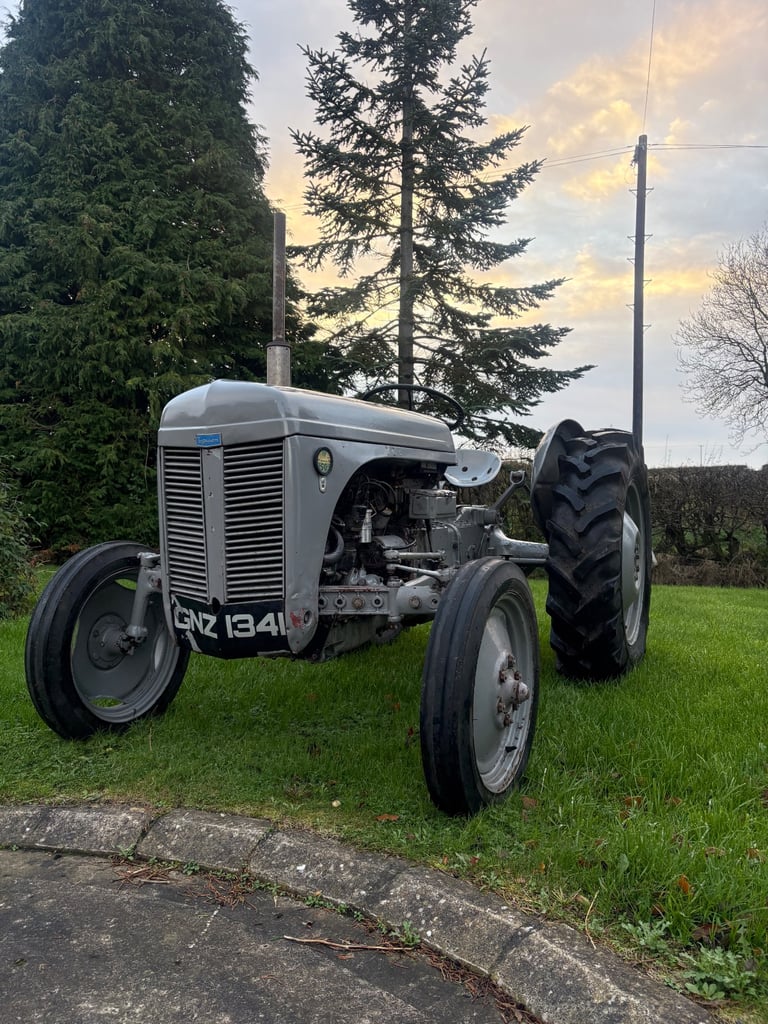 image for Ferguson T20 