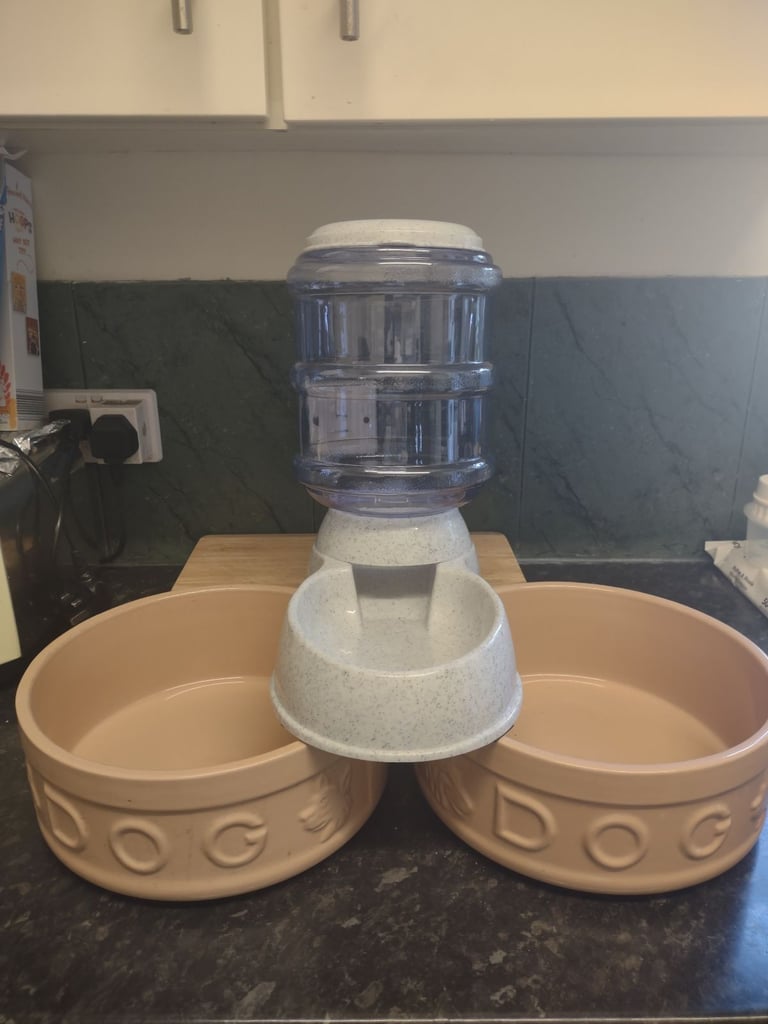 Dog dishes 