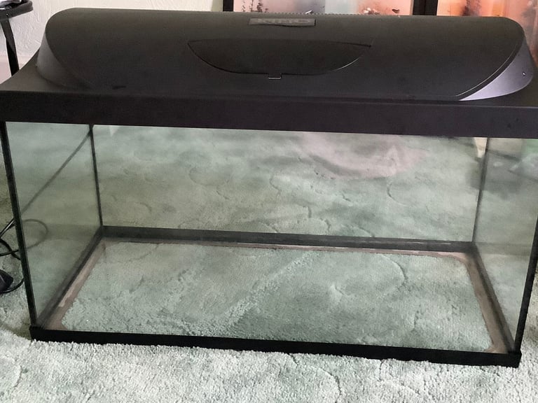 Fish Tank Tetra  with Ornaments