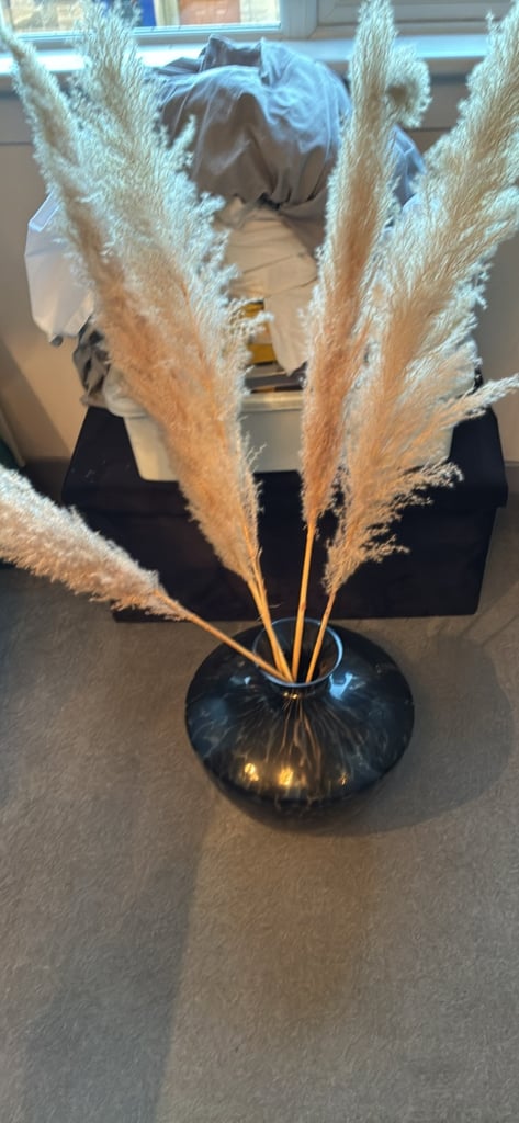 Large bowel with ferns