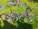 Purple bicycle 