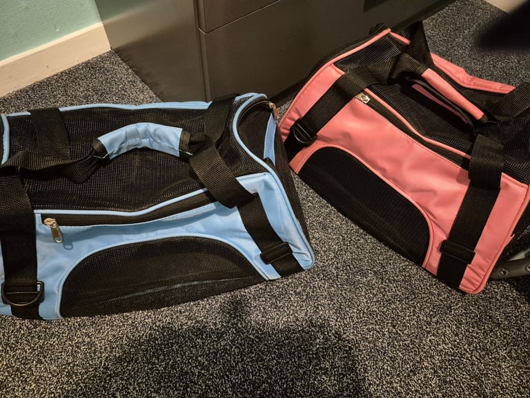 Dog carry bags and a car seat