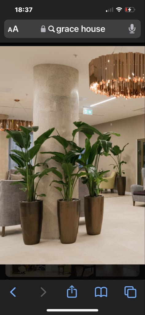 Westminster 1 bed with large terrace 