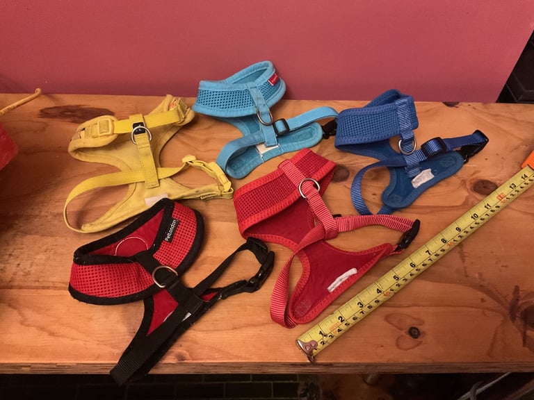 Small dog puppy harnesses and toy balls