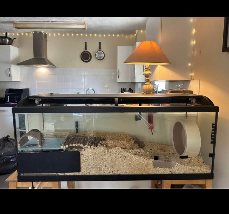 image for LARGE HAMSTER ENCLOSURE