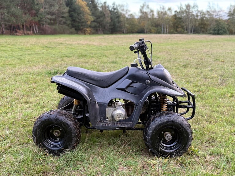 110cc automatic quad  rev and go