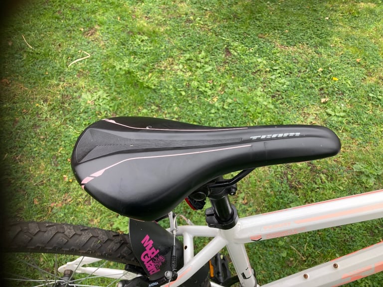 Team gx teens Mountain bike as new!