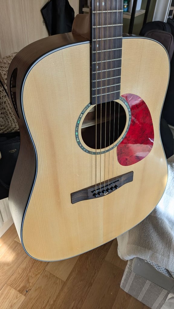 image for Eastcoast D1S Solid top dreadnought 