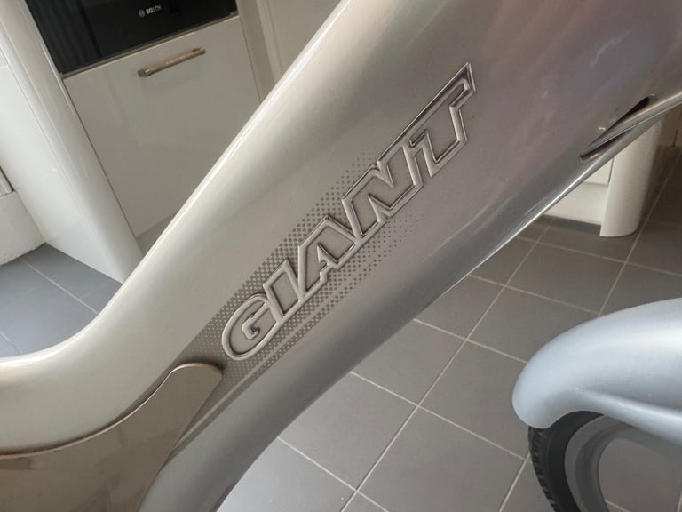 Giant Prodigy DX Urban Bike