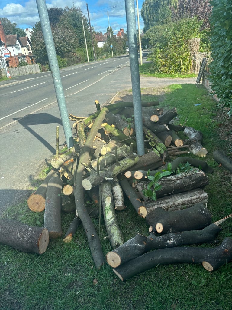 Oak tre logs 