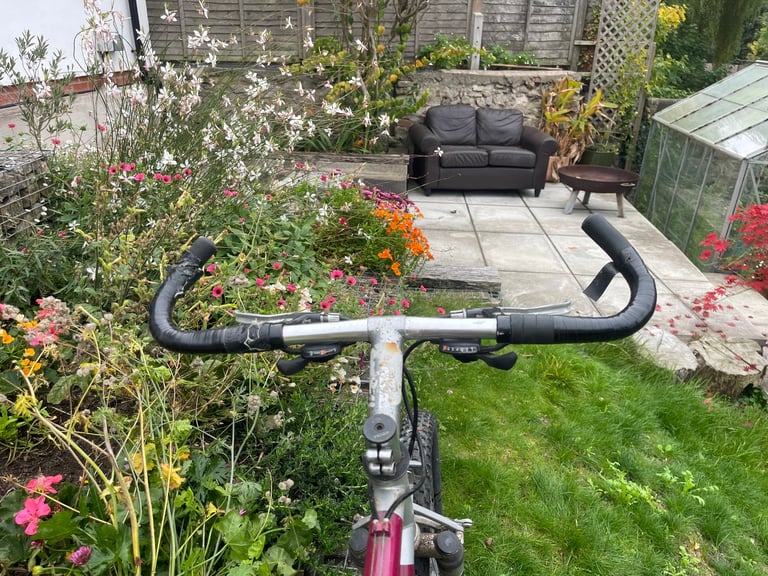 Men’s Carrera Bike