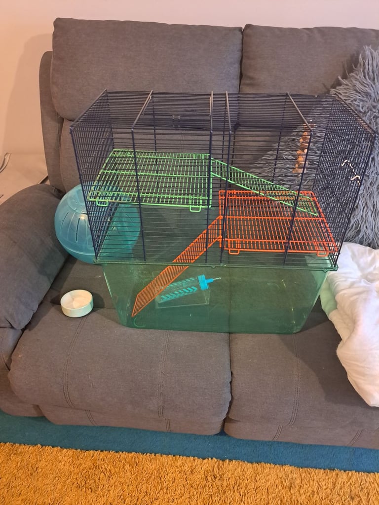 Hamster cage