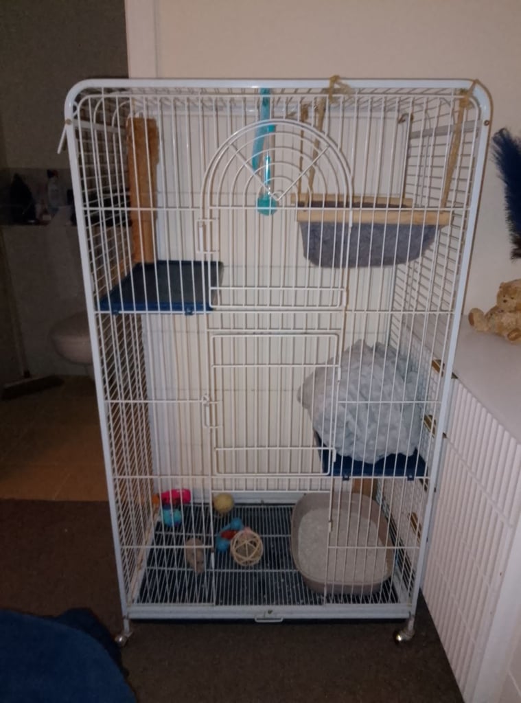 Bird cage . Parrot cage 