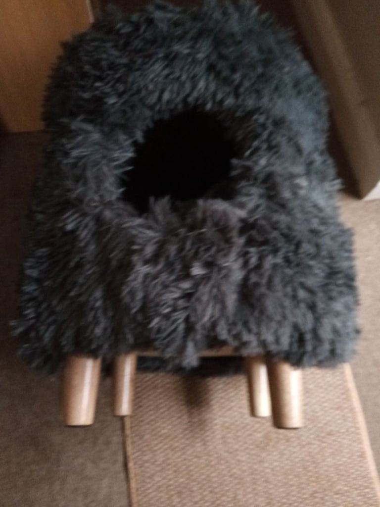 Fluffy cat bed. 