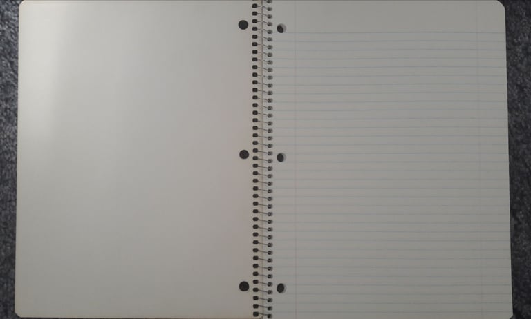 Notebook Disney’s 101 Dalmatians – post or collect