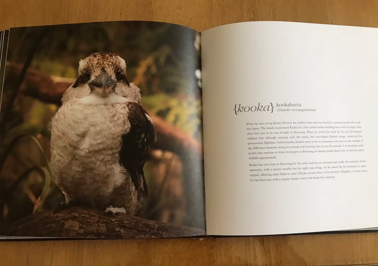 Tasmania Bonorong SancturyBook.Stunning Photos of indigenous Critters 