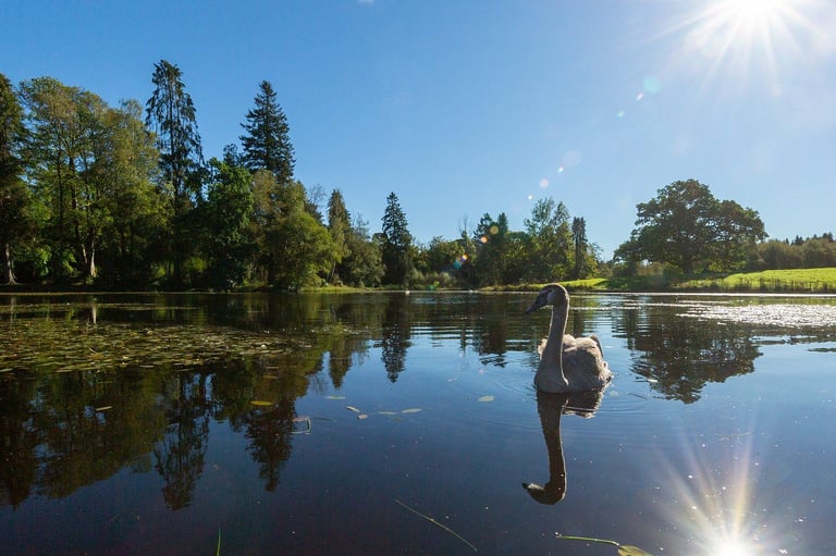 STATIC CARAVAN PARK IN SCOTLAND MOFFAT NEAR GLASGOW DUMFRIES AYRSHIRE EDINBURGH CARLISLE