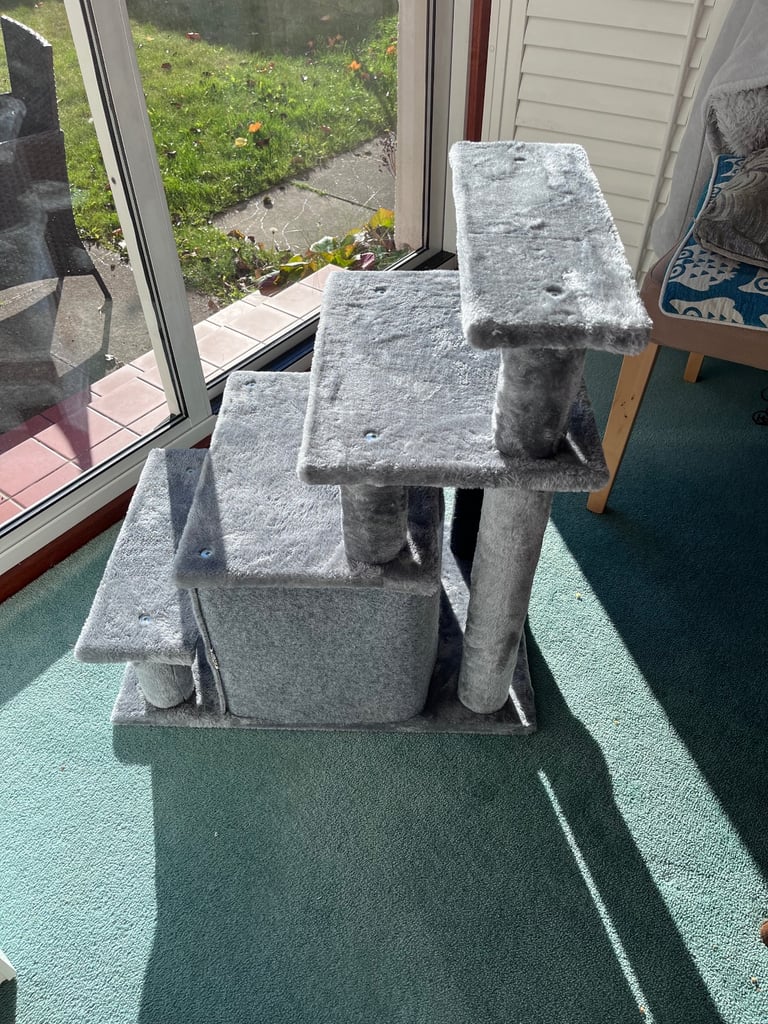Cat Scratching Play Area 