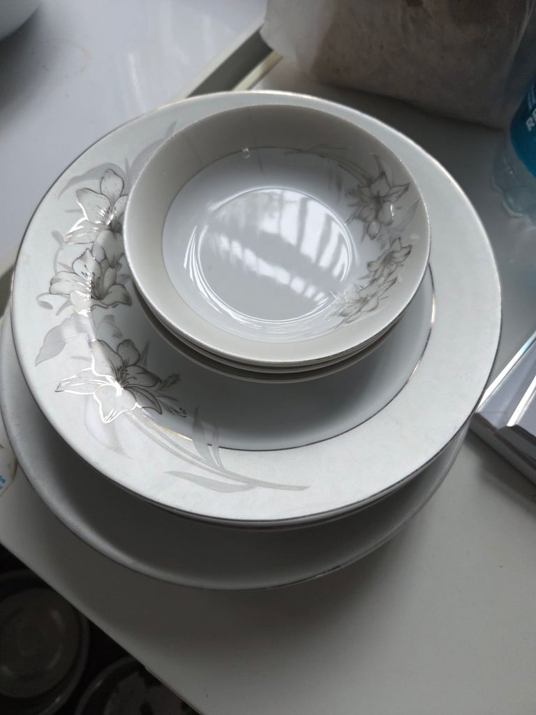 Dining plates and bowls 
