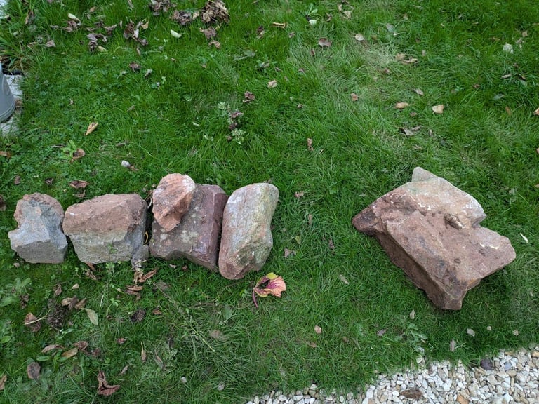 image for Free - Rocks
