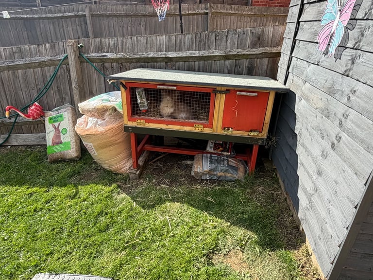 Rabbit hutch bedding and food 