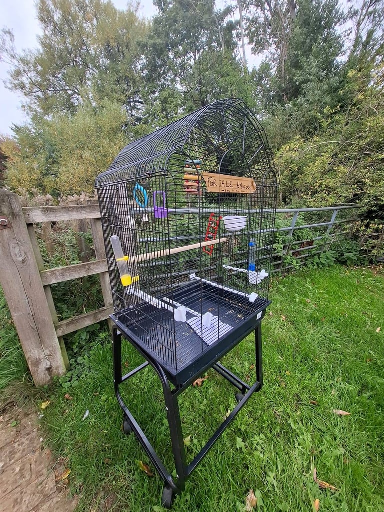 Quality bird cage with stand and loads of accessories 