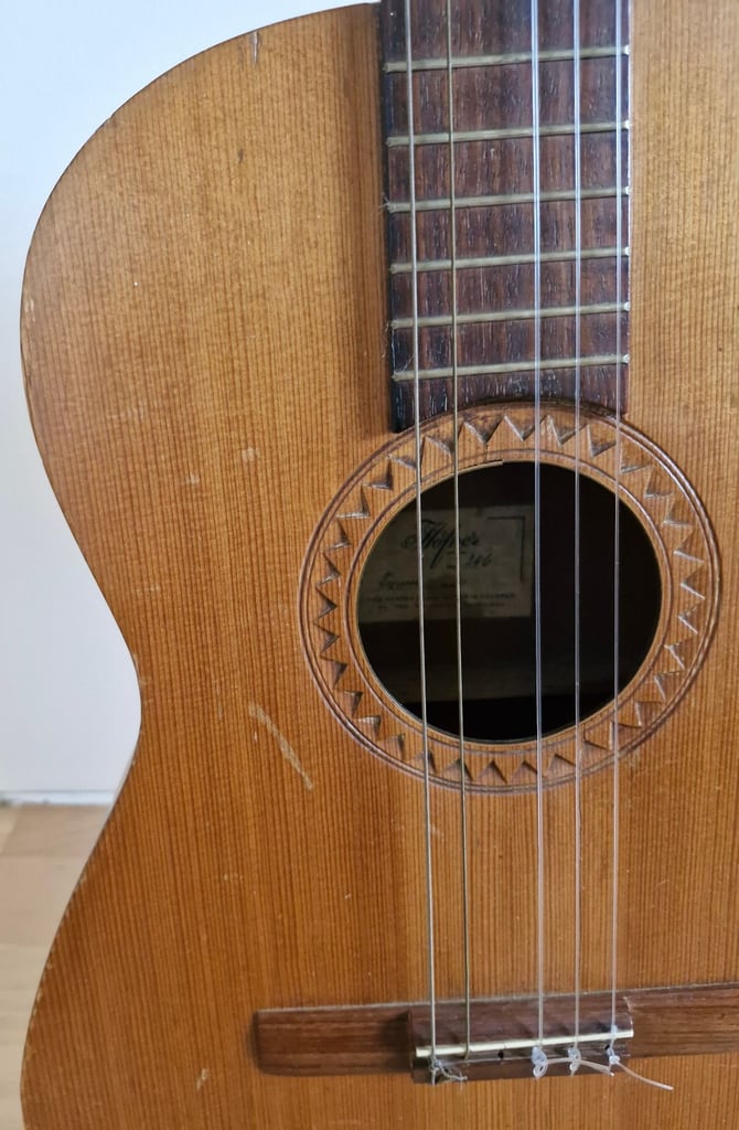 Hofner vienna guitar