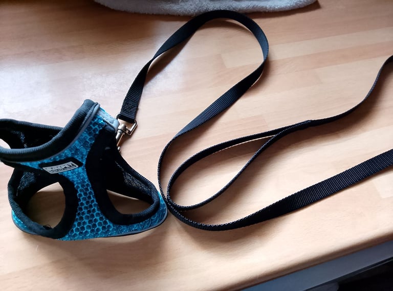 New XS Cat Harness with Lead