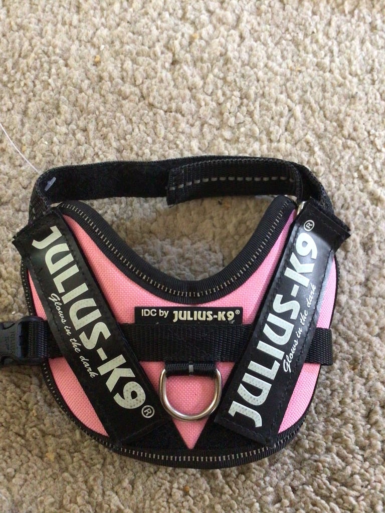 image for Julius k9 small harness