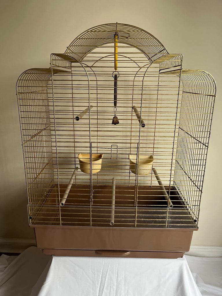 Ornamental Bird Cage in Gold and Brown