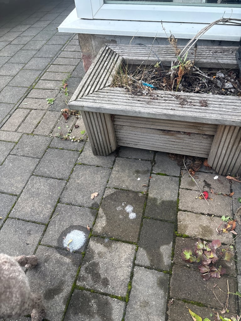 image for Weathered and used plant pot 