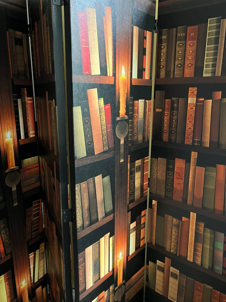 Lovely bookshelf image room divider/dressing screen