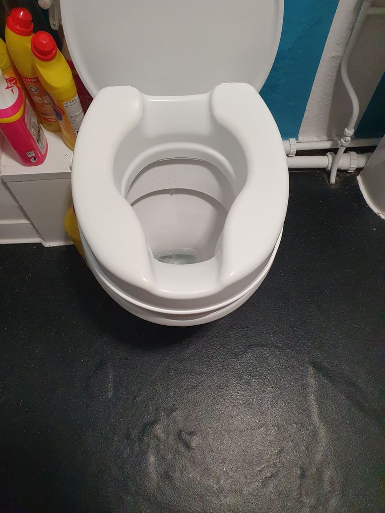 Disabled people toilet seat