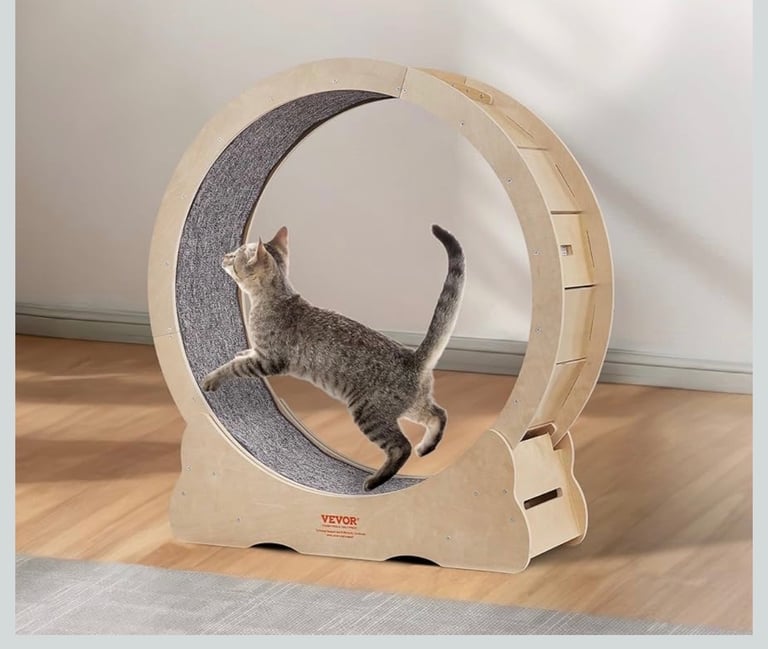 Indoor cat exercise wheel