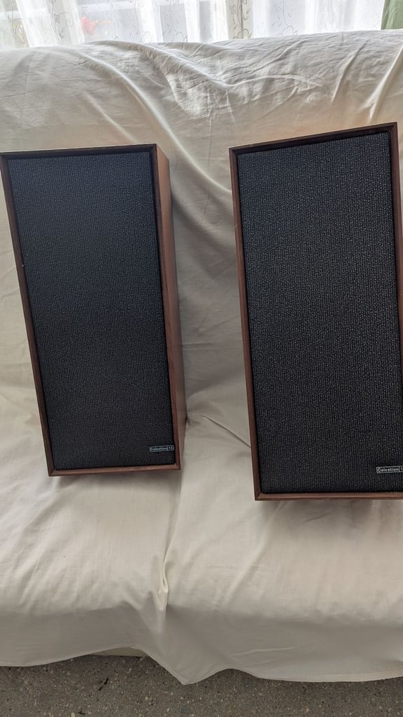 Celestion speakers x2 in Teak casing