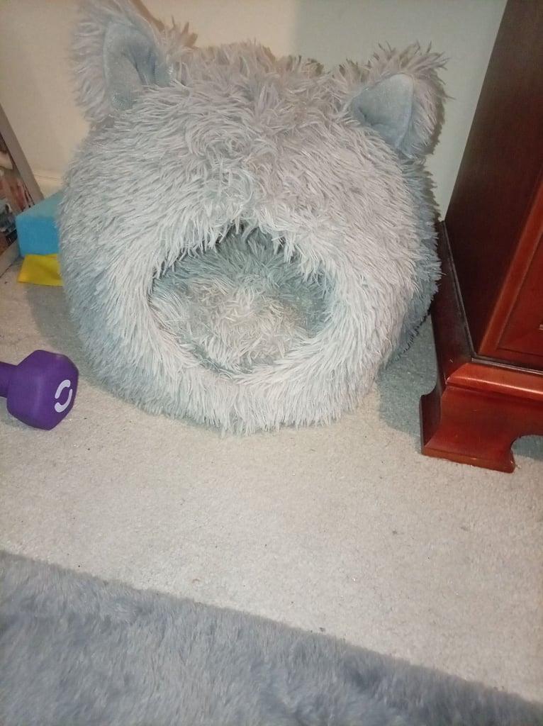Cat bed