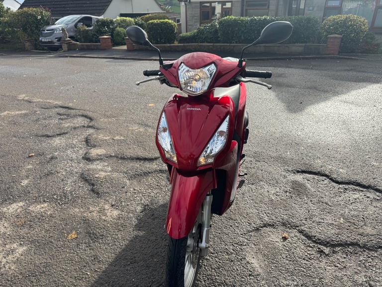 Honda, nsc VISION, 2019, 108 (cc) red not PCX HPI clear 