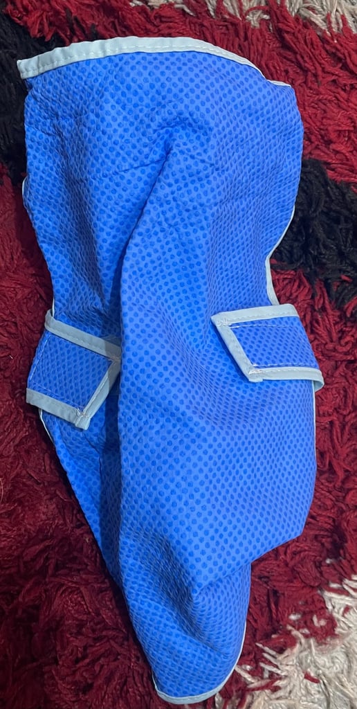 Dog Cooling Vest