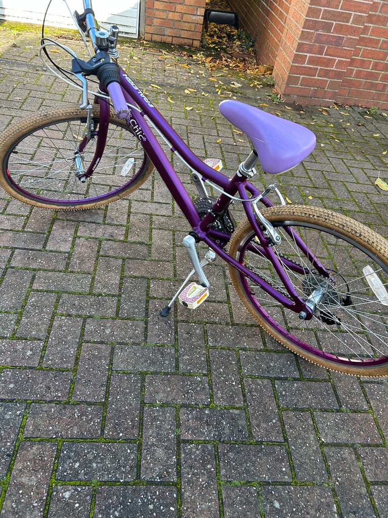 image for Bike - Raleigh Chic
