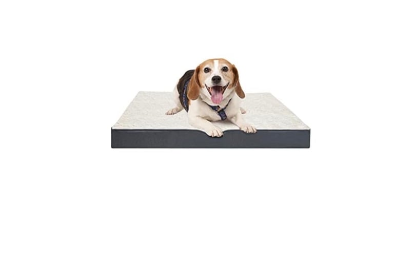 Dog bed (brand new) medium size