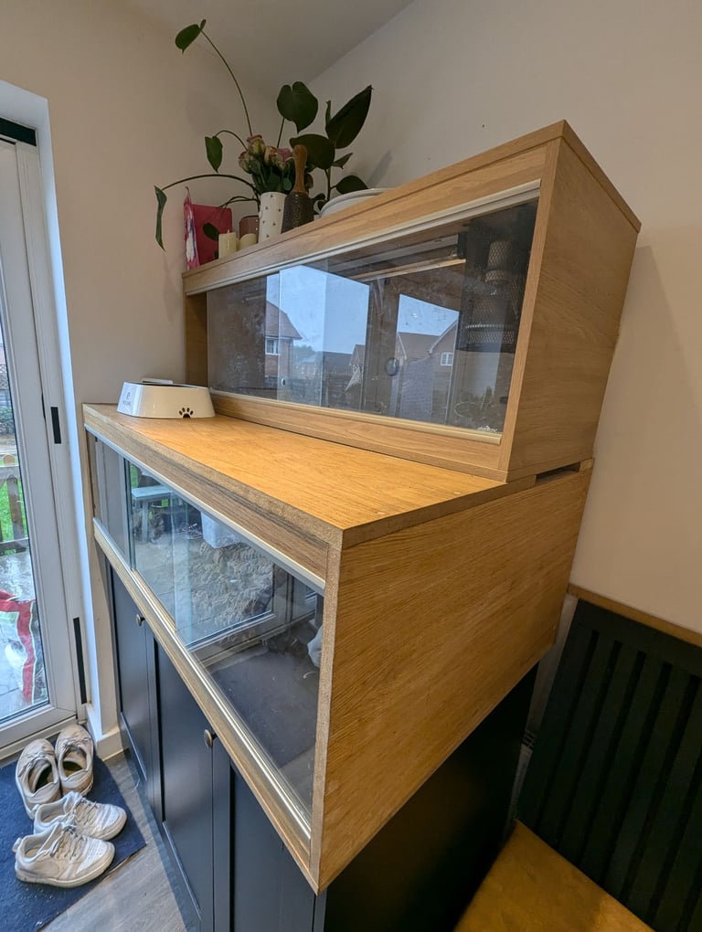 Huge custom reptile vivarium large enclosure 