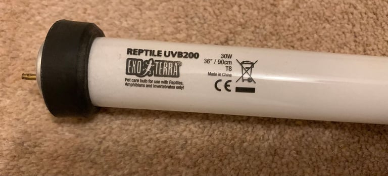 EXO/TERRA Reptile UVB200 light