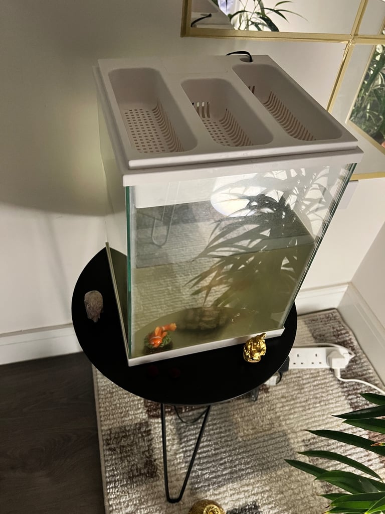 22L Aquarium Fish Tank Setup - Filter, Feeder, Food & Accessories - £40 (Complete Kit)
